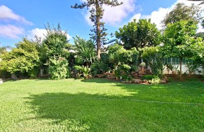 VILLA D’EXCEPTION 5 CHAMBRES À CALIFORNIE – VUE PANORAMIQUE