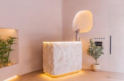 SALON DE BEAUTÉ HAUT DE GAMME À VENDRE – TRIANGLE D'OR