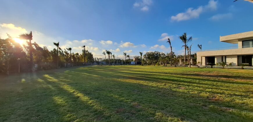 Domaine de Prestige sur 8000m² de Terrain et 1300m² Habitables