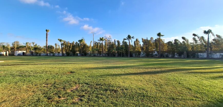 Domaine de Prestige sur 8000m² de Terrain et 1300m² Habitables