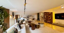 Appartement joliment meublé à Racine 240m2