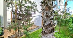 Super Studio à Louer au Coeur de Ain Diab