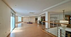 Spacieux Local Commercial avec Mezzanine au Coeur de Racine